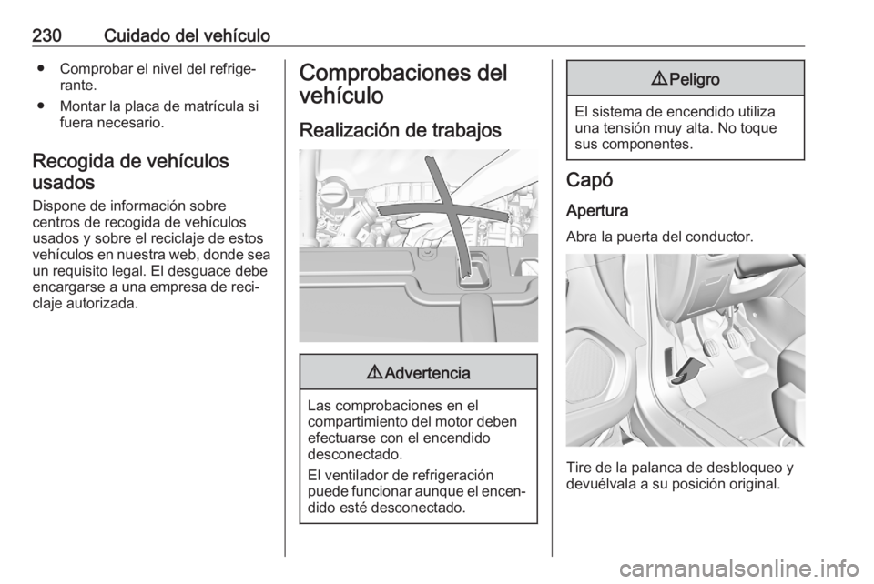 OPEL GRANDLAND X 2020  Manual de Instrucciones (in Spanish) 230Cuidado del vehículo● Comprobar el nivel del refrige‐rante.
● Montar la placa de matrícula si fuera necesario.
Recogida de vehículos usados
Dispone de información sobre
centros de recogid