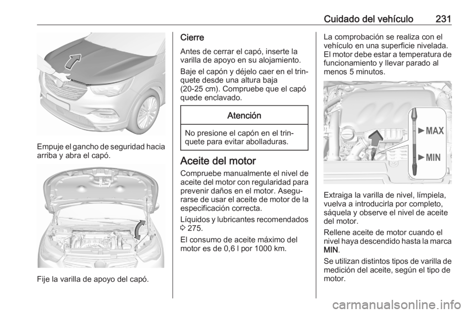 OPEL GRANDLAND X 2020  Manual de Instrucciones (in Spanish) Cuidado del vehículo231
Empuje el gancho de seguridad haciaarriba y abra el capó.
Fije la varilla de apoyo del capó.
Cierre
Antes de cerrar el capó, inserte la
varilla de apoyo en su alojamiento.
