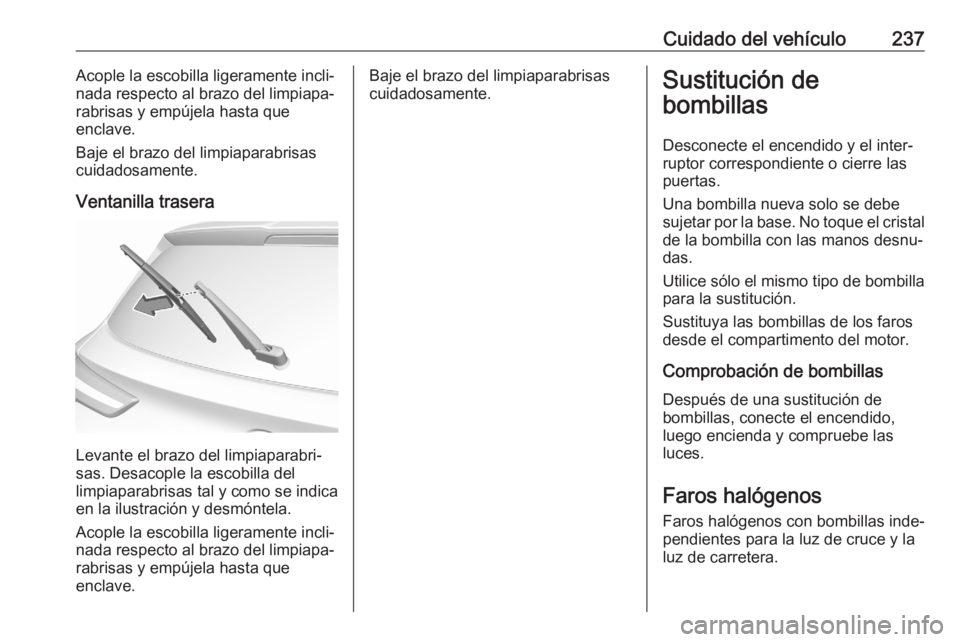 OPEL GRANDLAND X 2020  Manual de Instrucciones (in Spanish) Cuidado del vehículo237Acople la escobilla ligeramente incli‐
nada respecto al brazo del limpiapa‐
rabrisas y empújela hasta que
enclave.
Baje el brazo del limpiaparabrisas
cuidadosamente.
Venta