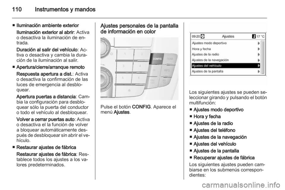 OPEL INSIGNIA 2010  Manual de Instrucciones (in Spanish) 