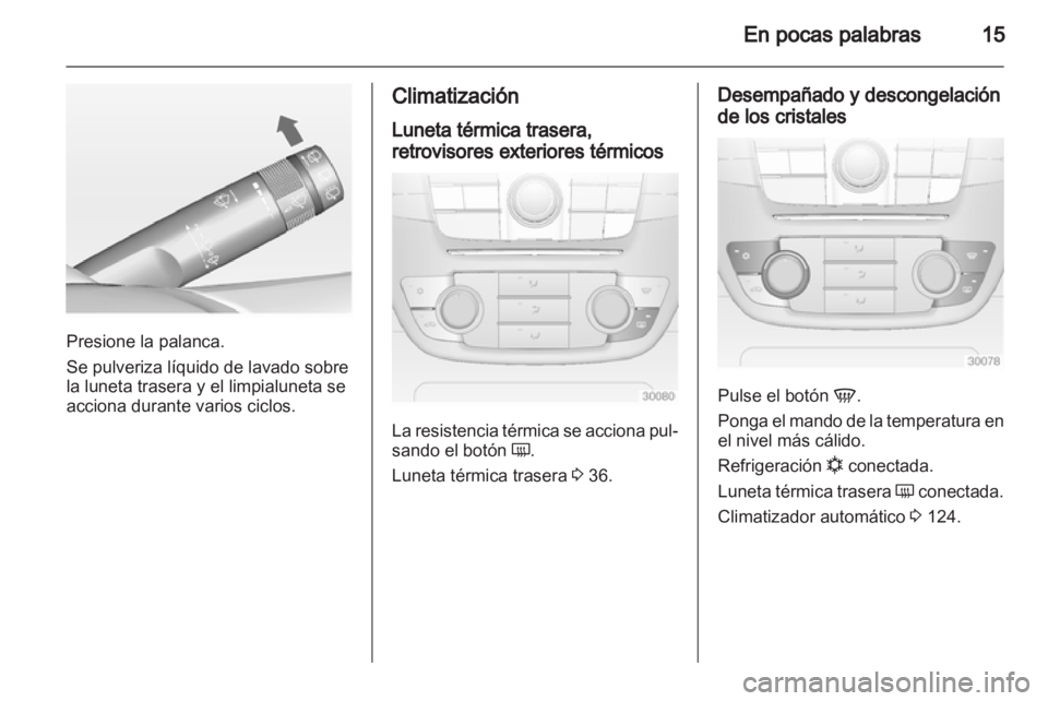 OPEL INSIGNIA 2010  Manual de Instrucciones (in Spanish) 