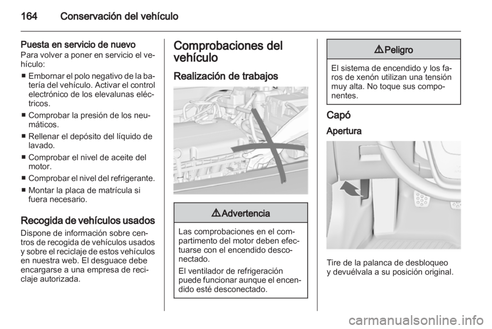 OPEL INSIGNIA 2010  Manual de Instrucciones (in Spanish) 