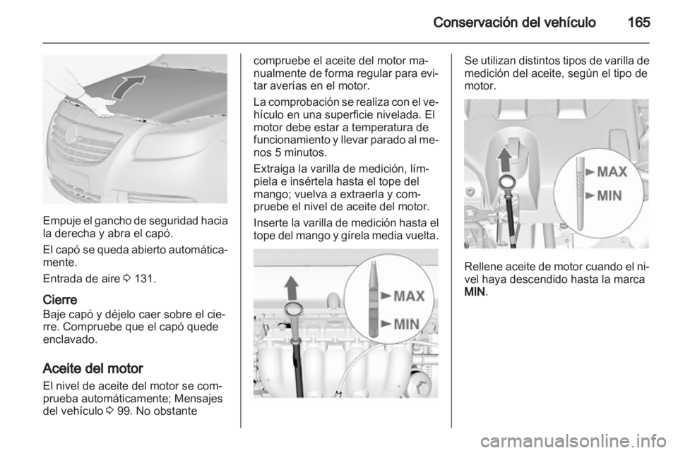 OPEL INSIGNIA 2010  Manual de Instrucciones (in Spanish) 