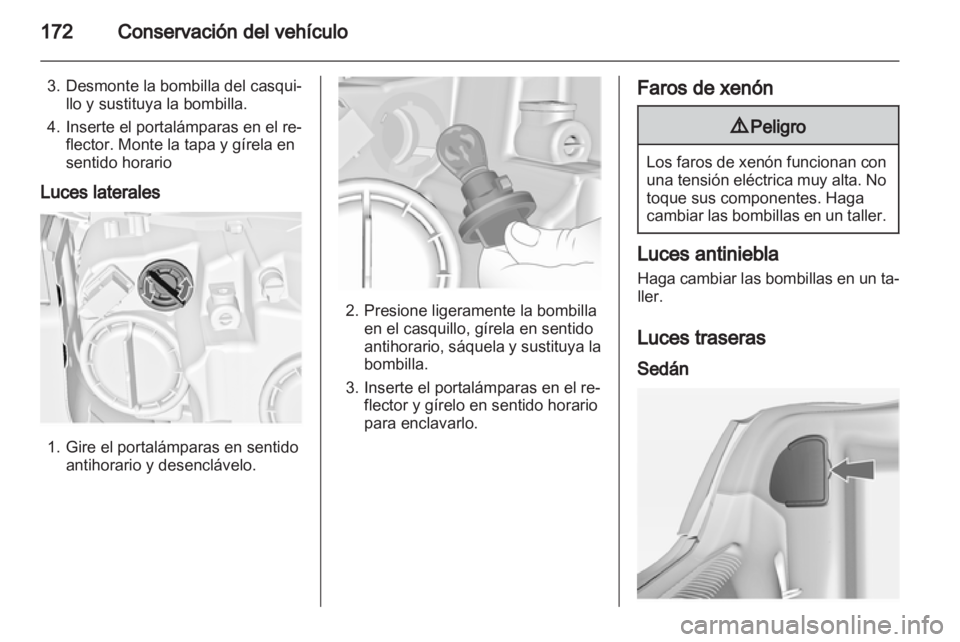 OPEL INSIGNIA 2010  Manual de Instrucciones (in Spanish) 