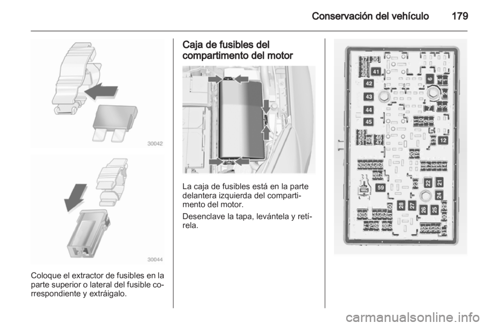OPEL INSIGNIA 2010  Manual de Instrucciones (in Spanish) 
