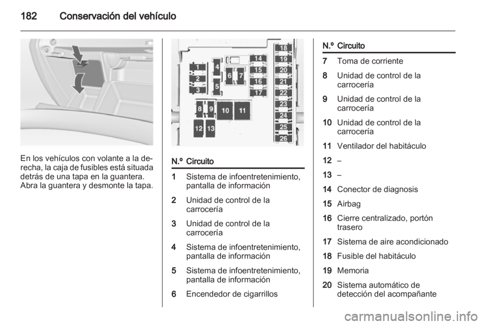 OPEL INSIGNIA 2010  Manual de Instrucciones (in Spanish) 