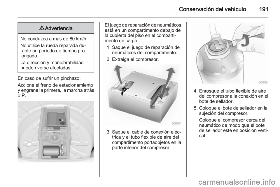 OPEL INSIGNIA 2010  Manual de Instrucciones (in Spanish) 