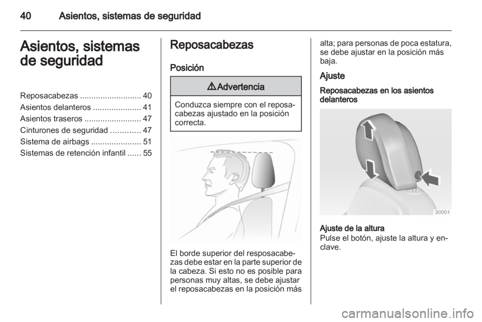 OPEL INSIGNIA 2010  Manual de Instrucciones (in Spanish) 