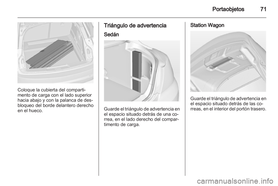 OPEL INSIGNIA 2010  Manual de Instrucciones (in Spanish) 