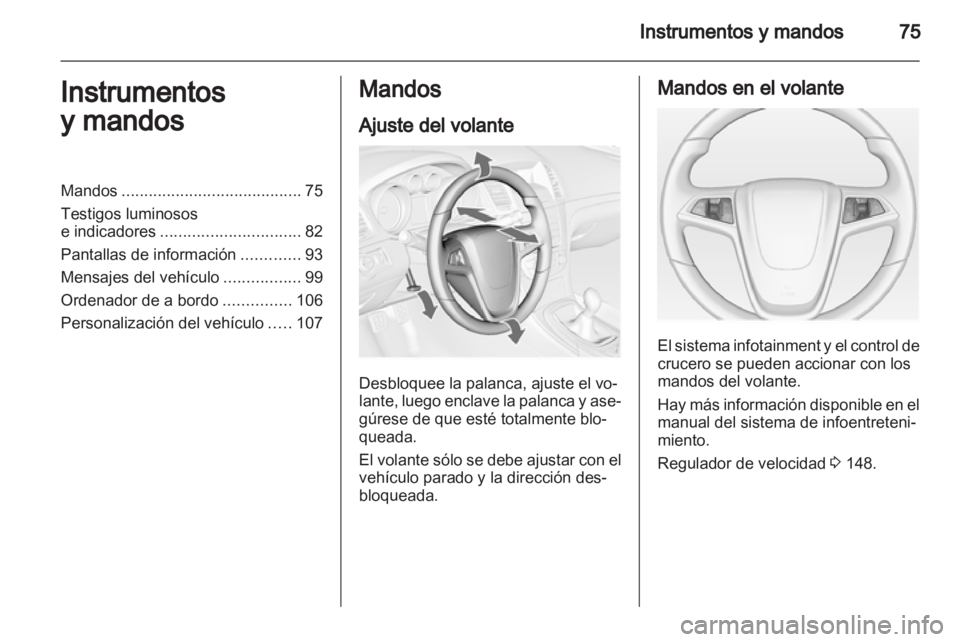 OPEL INSIGNIA 2010  Manual de Instrucciones (in Spanish) 