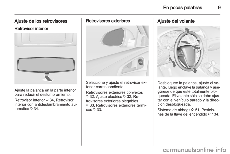 OPEL INSIGNIA 2010  Manual de Instrucciones (in Spanish) 