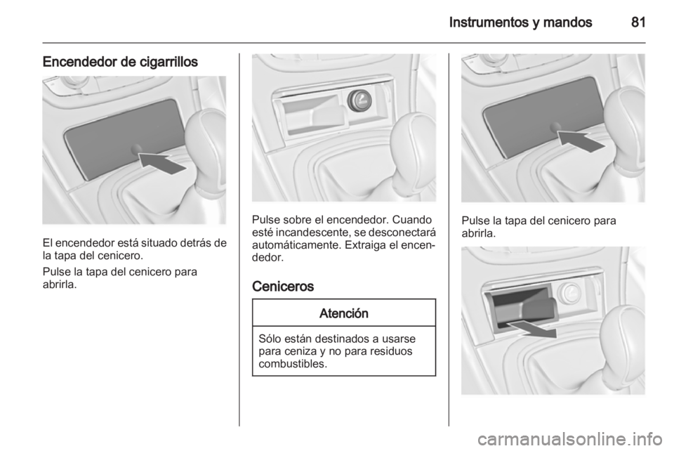 OPEL INSIGNIA 2010  Manual de Instrucciones (in Spanish) 