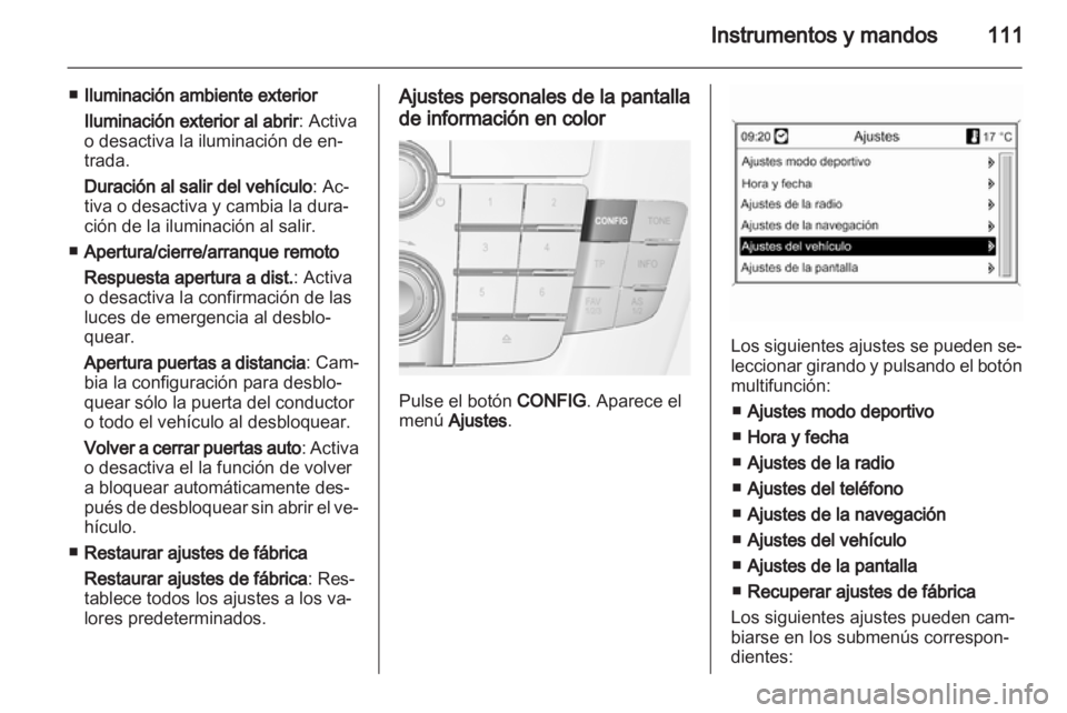OPEL INSIGNIA 2010.5  Manual de Instrucciones (in Spanish) 