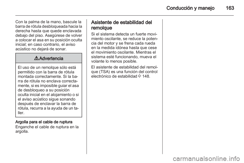 OPEL INSIGNIA 2010.5  Manual de Instrucciones (in Spanish) 