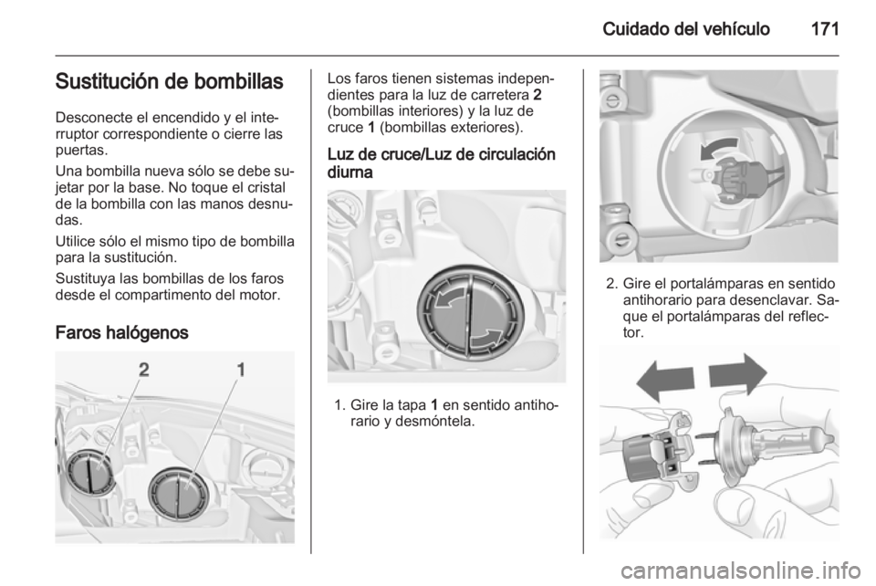 OPEL INSIGNIA 2010.5  Manual de Instrucciones (in Spanish) 