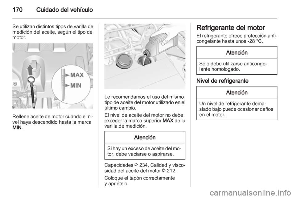 OPEL INSIGNIA 2011  Manual de Instrucciones (in Spanish) 
