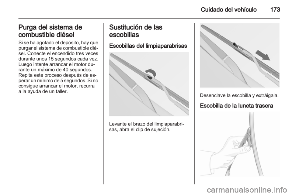 OPEL INSIGNIA 2011  Manual de Instrucciones (in Spanish) 