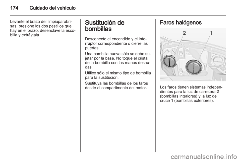 OPEL INSIGNIA 2011  Manual de Instrucciones (in Spanish) 