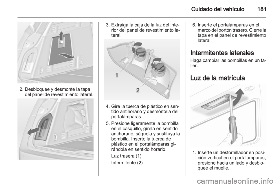 OPEL INSIGNIA 2011  Manual de Instrucciones (in Spanish) 