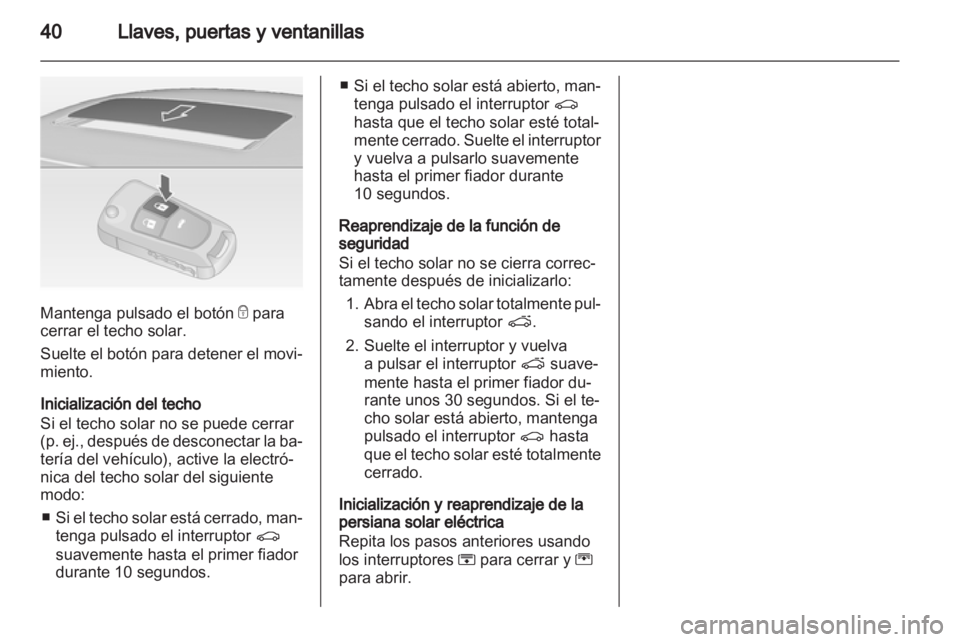 OPEL INSIGNIA 2011  Manual de Instrucciones (in Spanish) 
