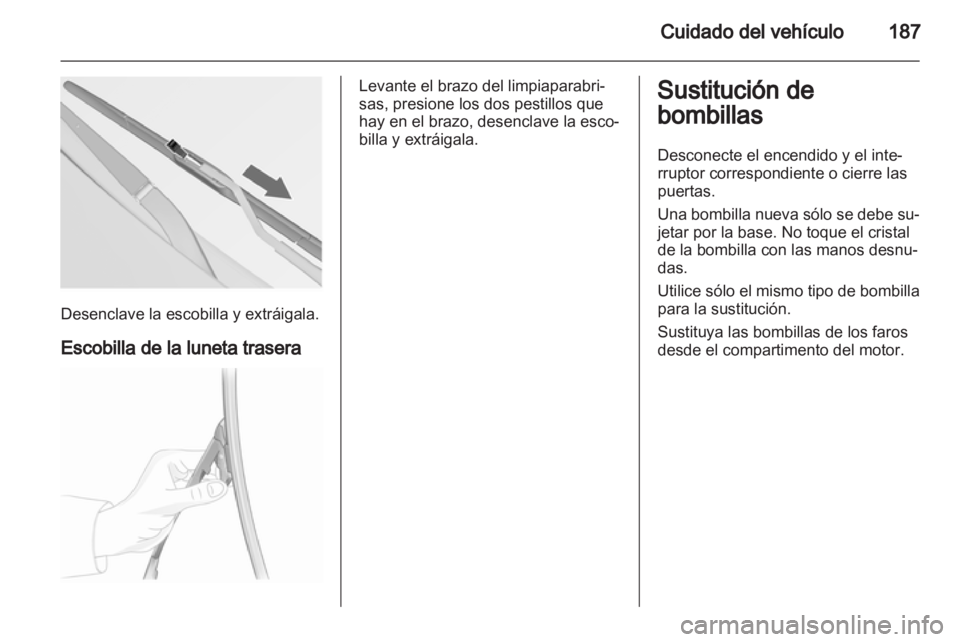 OPEL INSIGNIA 2012  Manual de Instrucciones (in Spanish) 