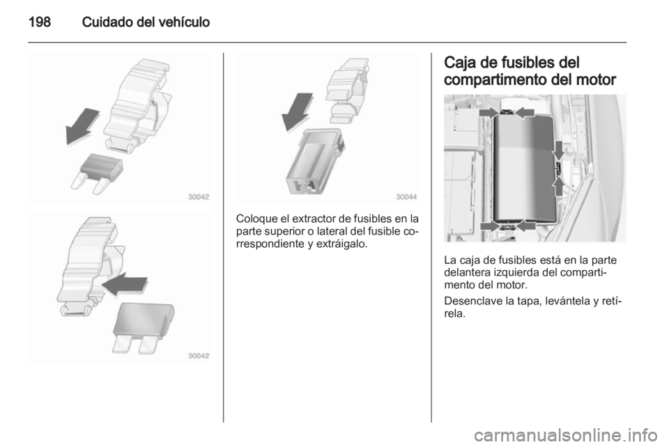 OPEL INSIGNIA 2012  Manual de Instrucciones (in Spanish) 