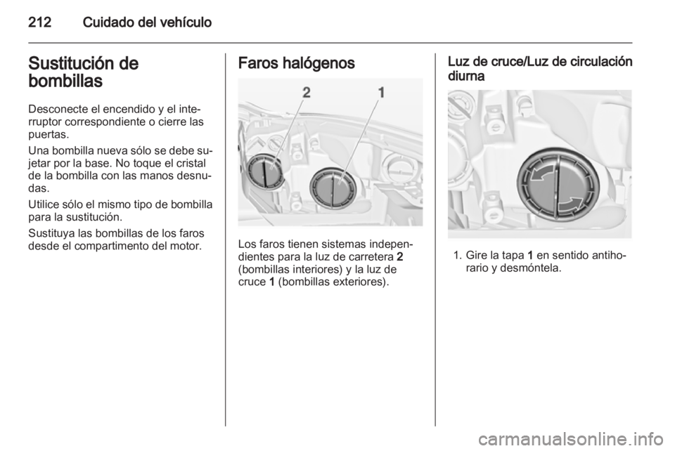 OPEL INSIGNIA 2013  Manual de Instrucciones (in Spanish) 
