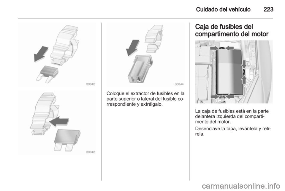 OPEL INSIGNIA 2013  Manual de Instrucciones (in Spanish) 