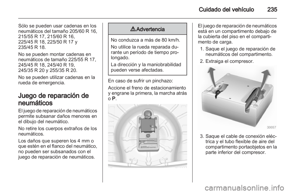 OPEL INSIGNIA 2013  Manual de Instrucciones (in Spanish) 