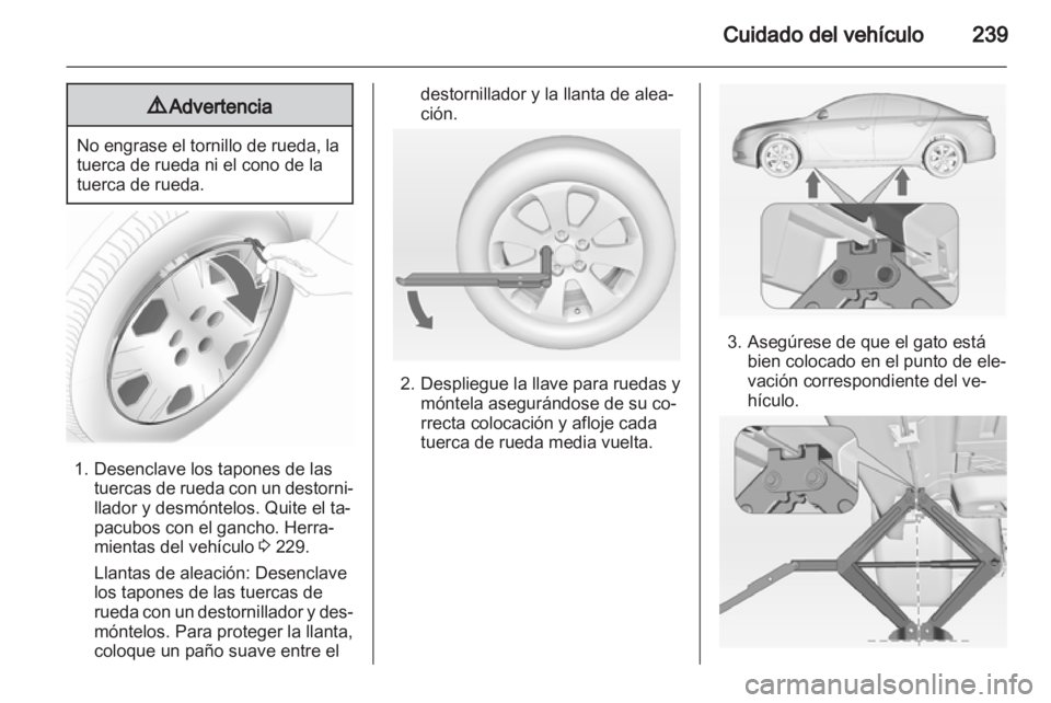 OPEL INSIGNIA 2013  Manual de Instrucciones (in Spanish) 