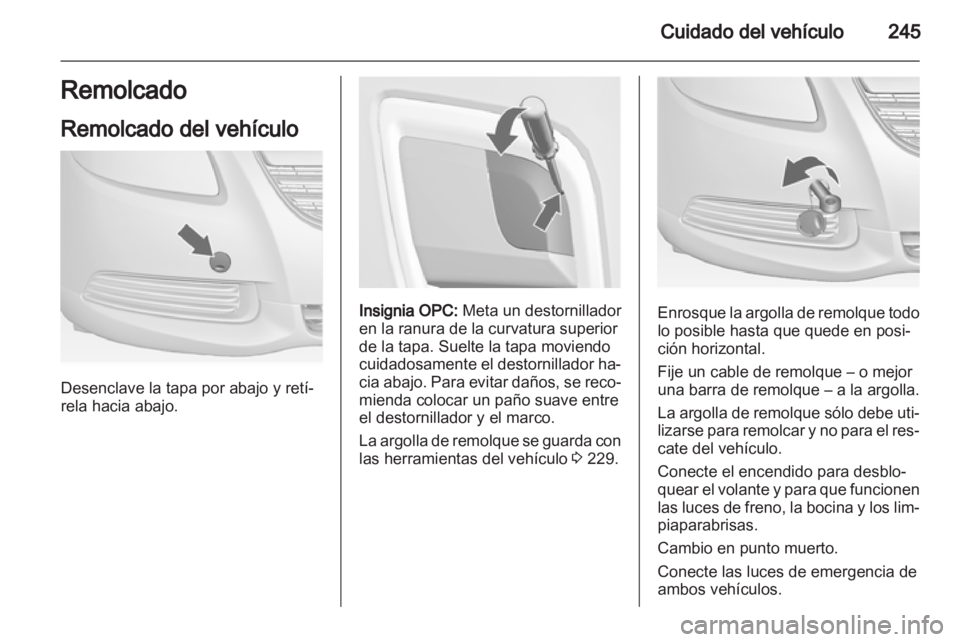 OPEL INSIGNIA 2013  Manual de Instrucciones (in Spanish) 