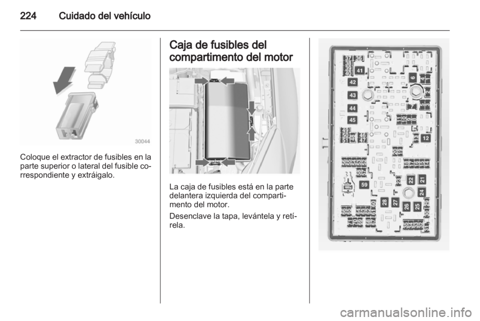 OPEL INSIGNIA 2013.5  Manual de Instrucciones (in Spanish) 