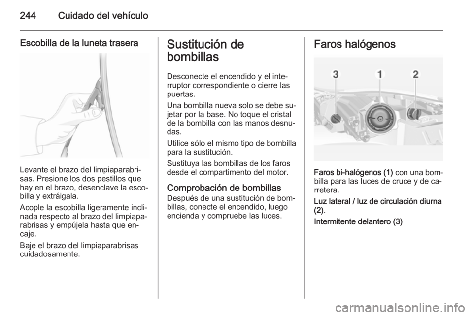 OPEL INSIGNIA 2015  Manual de Instrucciones (in Spanish) 244Cuidado del vehículo
Escobilla de la luneta trasera
Levante el brazo del limpiaparabri‐
sas. Presione los dos pestillos que
hay en el brazo, desenclave la esco‐
billa y extráigala.
Acople la 