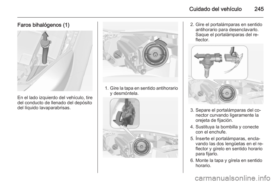 OPEL INSIGNIA 2015  Manual de Instrucciones (in Spanish) Cuidado del vehículo245
Faros bihalógenos (1)
En el lado izquierdo del vehículo, tire
del conducto de llenado del depósito
del líquido lavaparabrisas.
1. Gire la tapa en sentido antihorario
y des