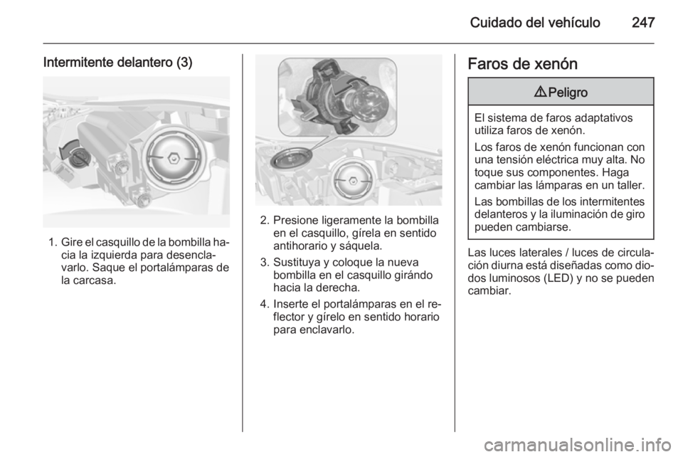 OPEL INSIGNIA 2015  Manual de Instrucciones (in Spanish) Cuidado del vehículo247
Intermitente delantero (3)
1.Gire el casquillo de la bombilla ha‐
cia la izquierda para desencla‐
varlo. Saque el portalámparas de
la carcasa.
2. Presione ligeramente la 