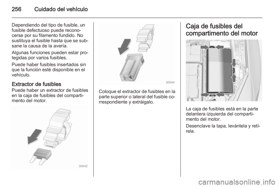 OPEL INSIGNIA 2015  Manual de Instrucciones (in Spanish) 256Cuidado del vehículo
Dependiendo del tipo de fusible, un
fusible defectuoso puede recono‐
cerse por su filamento fundido. No
sustituya el fusible hasta que se sub‐
sane la causa de la avería.