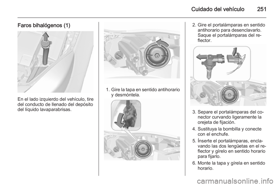 OPEL INSIGNIA 2015.5  Manual de Instrucciones (in Spanish) Cuidado del vehículo251
Faros bihalógenos (1)
En el lado izquierdo del vehículo, tire
del conducto de llenado del depósito
del líquido lavaparabrisas.
1. Gire la tapa en sentido antihorario
y des