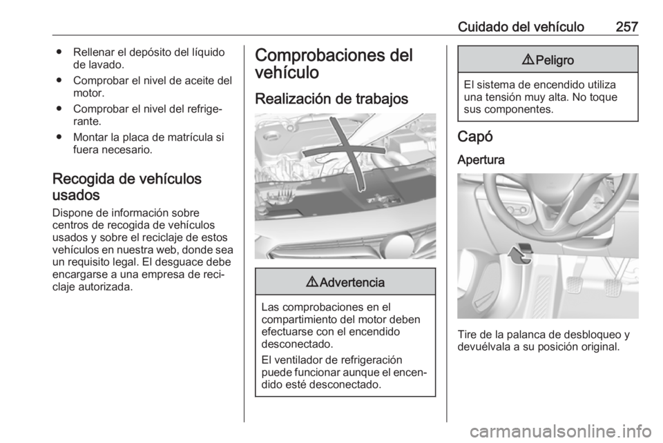 OPEL INSIGNIA BREAK 2019.5  Manual de Instrucciones (in Spanish) Cuidado del vehículo257● Rellenar el depósito del líquidode lavado.
● Comprobar el nivel de aceite del motor.
● Comprobar el nivel del refrige‐ rante.
● Montar la placa de matrícula si f