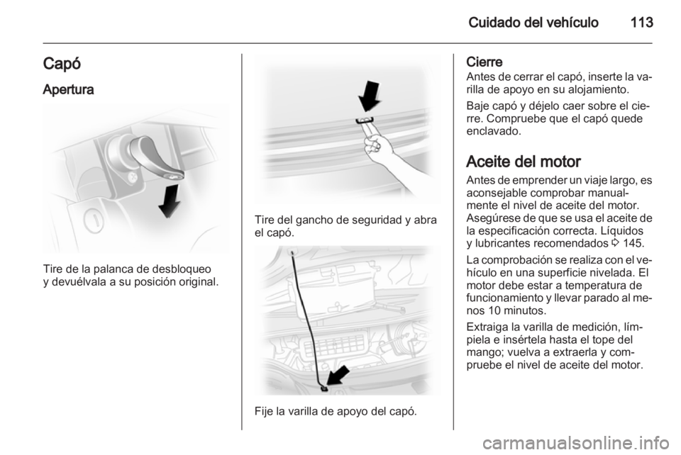 OPEL VIVARO 2011  Manual de Instrucciones (in Spanish) 