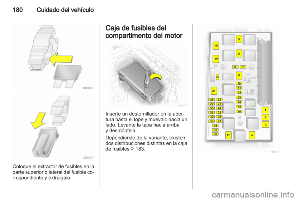 OPEL ZAFIRA 2011  Manual de Instrucciones (in Spanish) 
