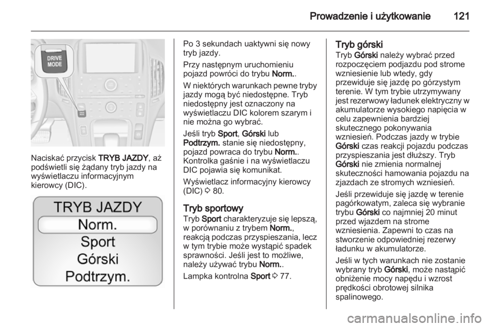 OPEL AMPERA 2013  Instrukcja obsługi (in Polish) 
