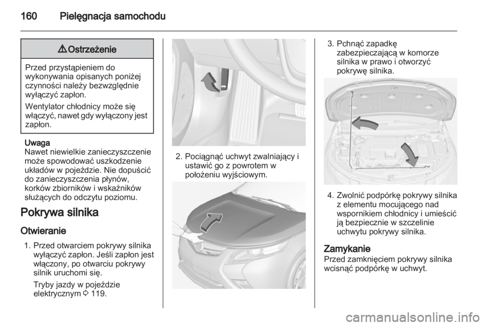 OPEL AMPERA 2013  Instrukcja obsługi (in Polish) 