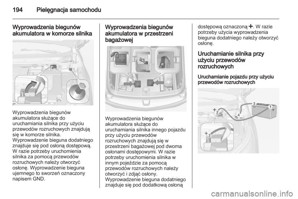 OPEL AMPERA 2013  Instrukcja obsługi (in Polish) 