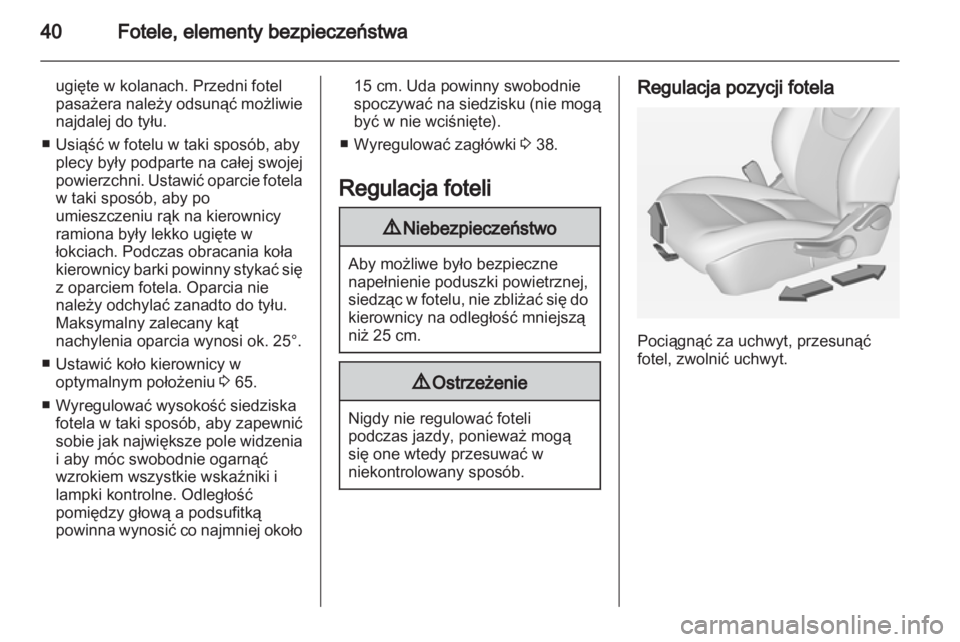 OPEL AMPERA 2013  Instrukcja obsługi (in Polish) 