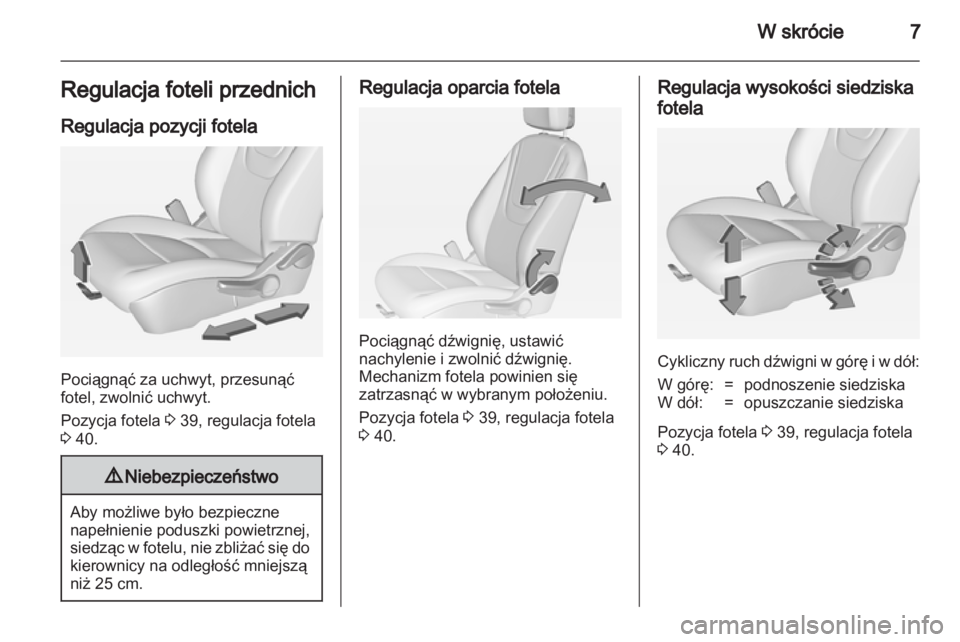 OPEL AMPERA 2013  Instrukcja obsługi (in Polish) 