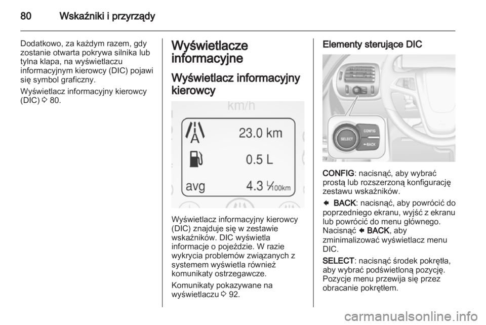 OPEL AMPERA 2013  Instrukcja obsługi (in Polish) 