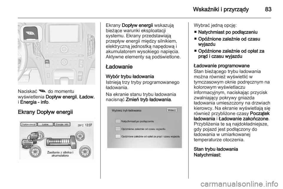 OPEL AMPERA 2013  Instrukcja obsługi (in Polish) 