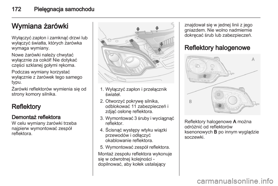 OPEL ANTARA 2012.5  Instrukcja obsługi (in Polish) 