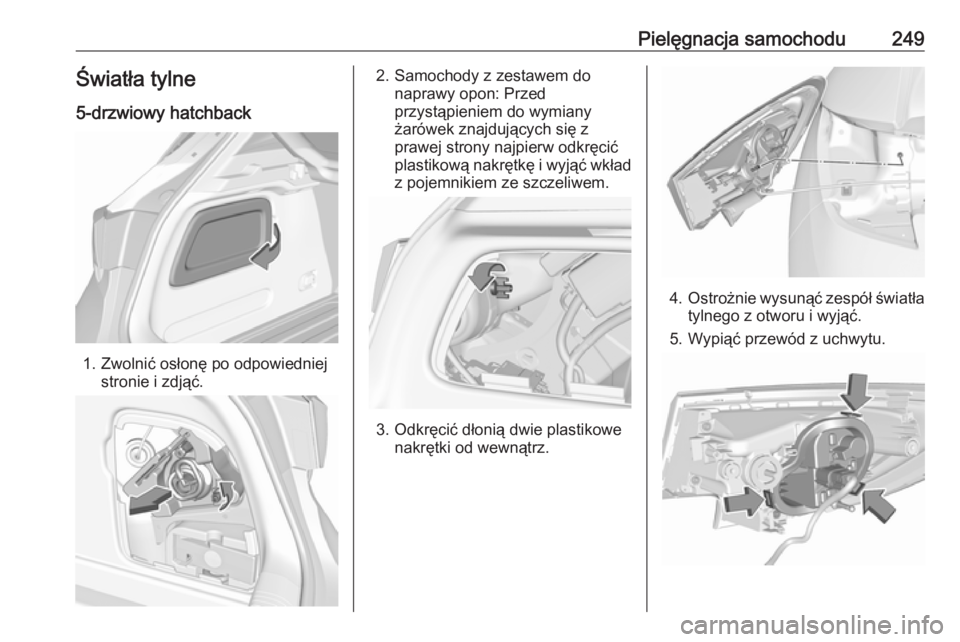 OPEL ASTRA K 2016.5  Instrukcja obsługi (in Polish) Pielęgnacja samochodu249Światła tylne
5-drzwiowy hatchback
1. Zwolnić osłonę po odpowiedniej stronie i zdjąć.
2. Samochody z zestawem do naprawy opon: Przed
przystąpieniem do wymiany
żarówe
