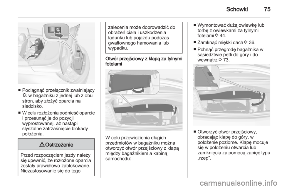 OPEL CASCADA 2013.5  Instrukcja obsługi (in Polish) 